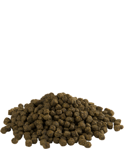 Versele - Fishlix Koi Large 8 kg 8 mm