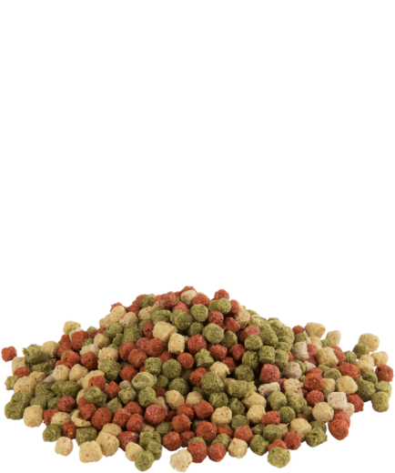 Versele - Fishlix Allround 10 kg