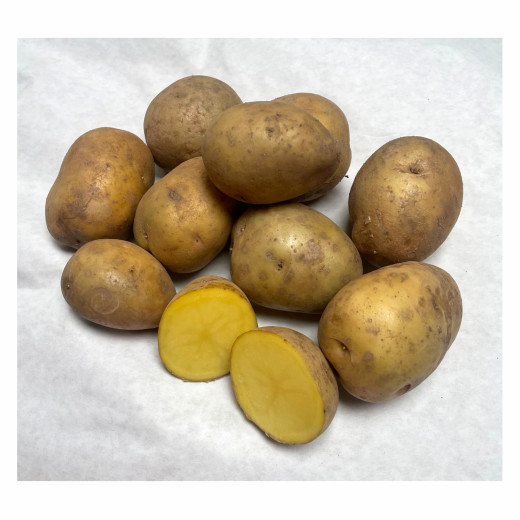 Pflanzkartoffel - Saatkartoffel Belinda 5 kg
