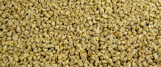 Schweinefutter Kornmast 132-DV 25 kg