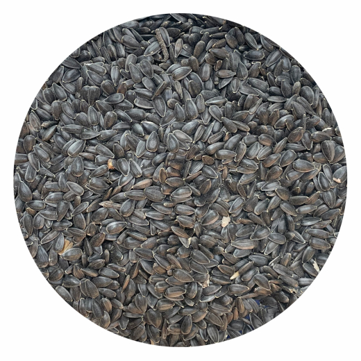 Sonnenblumenkerne schwarz 20 kg