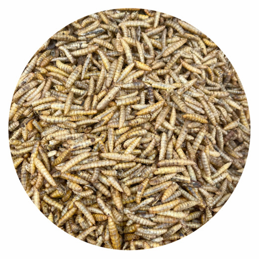 Mehlwürmer getrocknet 5 Kg