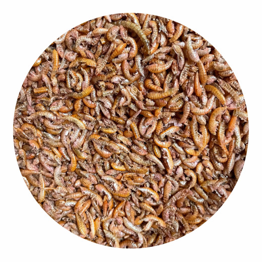 Bachflohkrebse - Gammarus getrocknet 250g
