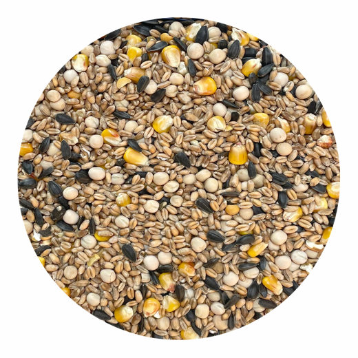 Mühle Richter - Taubenfutter 25 kg