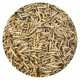 Mehlwürmer getrocknet 1 Kg