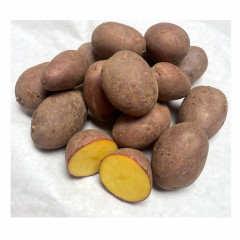 Pflanzkartoffel - Saatkartoffel Laura 5 kg