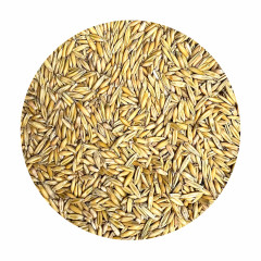 Mühle Richter - Hafer ganz 25 kg