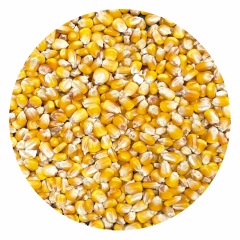 Mühle Richter - Körnermais - Futtermais 25 kg